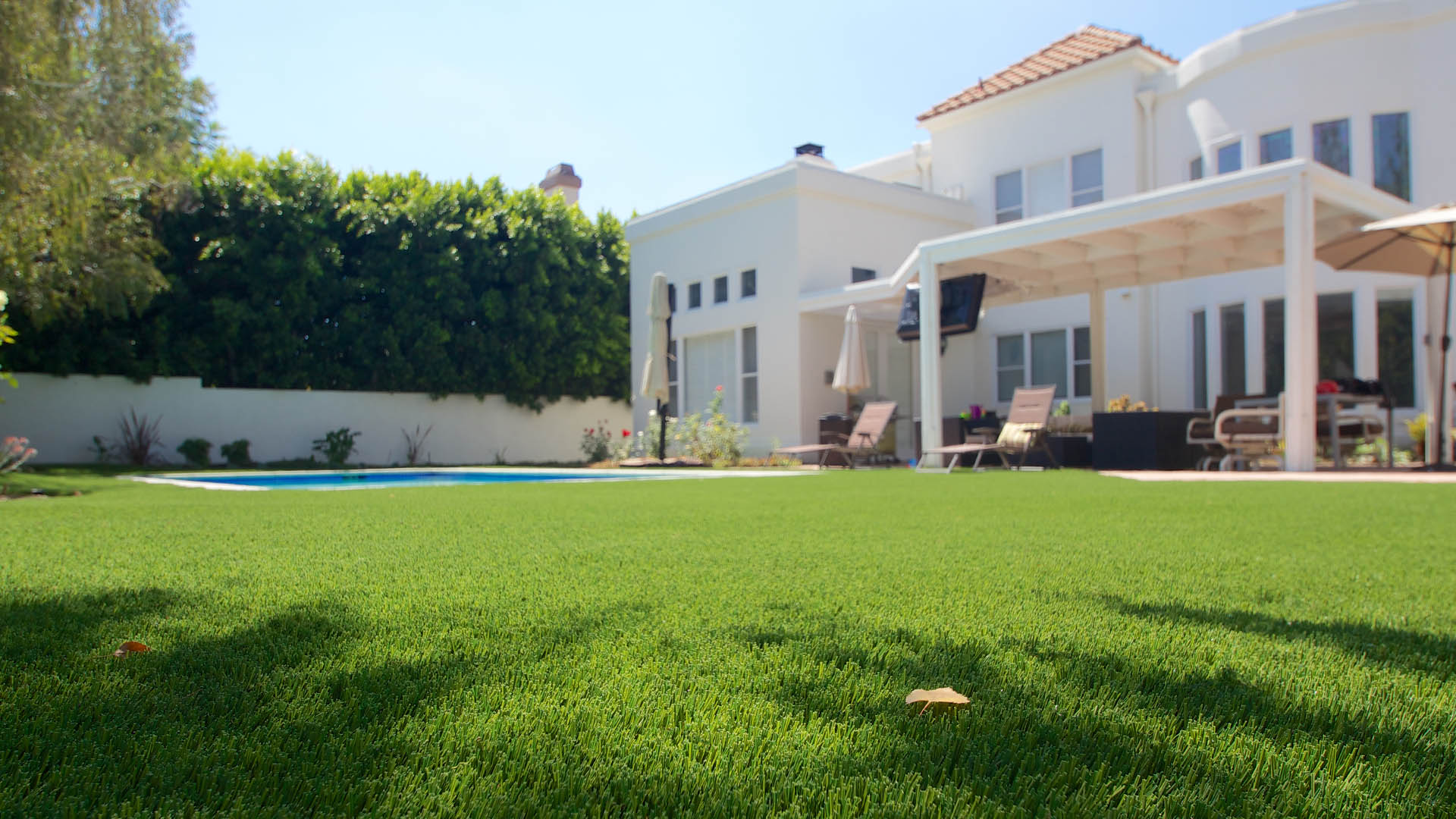 image of residential backyard with pool surround